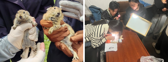 96b1b01018344b919448c6542bc04e9f.png 96b1b01018344b919448c6542bc04e9f.png