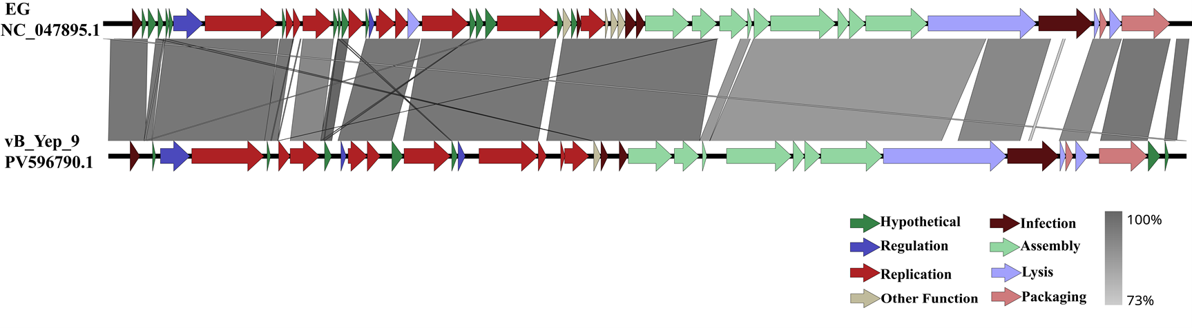 66dee5aa8a3e49f2abcc85585bff71b1.png