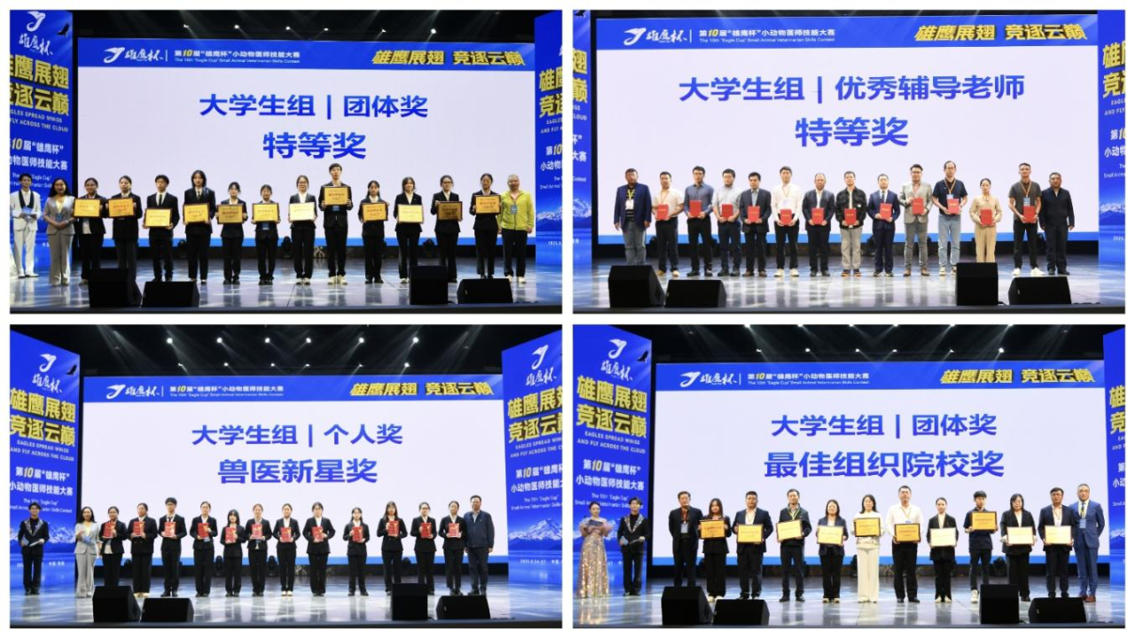 ffaddac1308f45848030bfe4386b51ae.png
